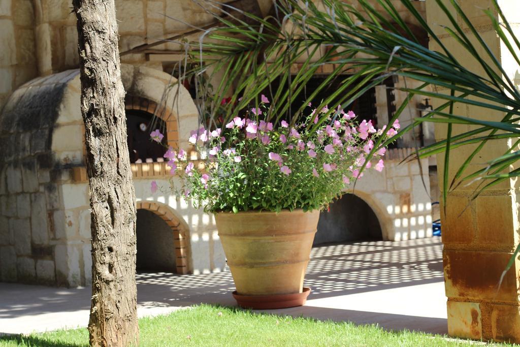 Villa Alimedon Almirida Extérieur photo